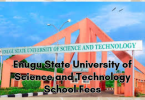 Enugu State University of Science and Technology School Fees
