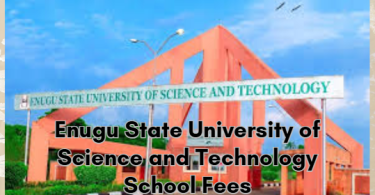 Enugu State University of Science and Technology School Fees
