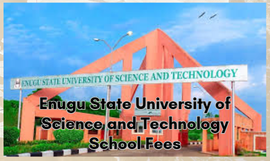 Enugu State University of Science and Technology School Fees