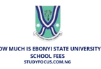 How Much Is Ebonyi State University School Fees