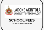 How to Pay Ladoke Akintola University of Technology School Fees