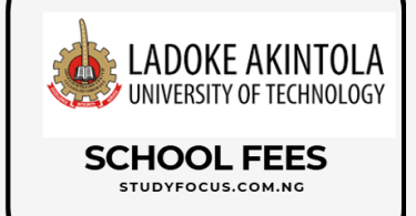 How to Pay Ladoke Akintola University of Technology School Fees