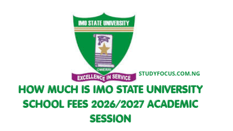 How Much Is Imo State University School Fees