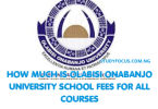 How Much Is Olabisi Onabanjo University School Fees for All Courses