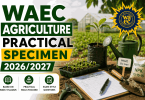 WAEC Agricultural Science Practical Specimen