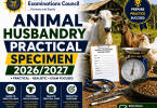 West African Examinations Council Animal Husbandry Practical Specimen